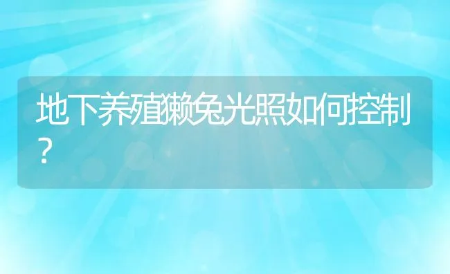 地下养殖獭兔光照如何控制？ | 动物养殖饲料