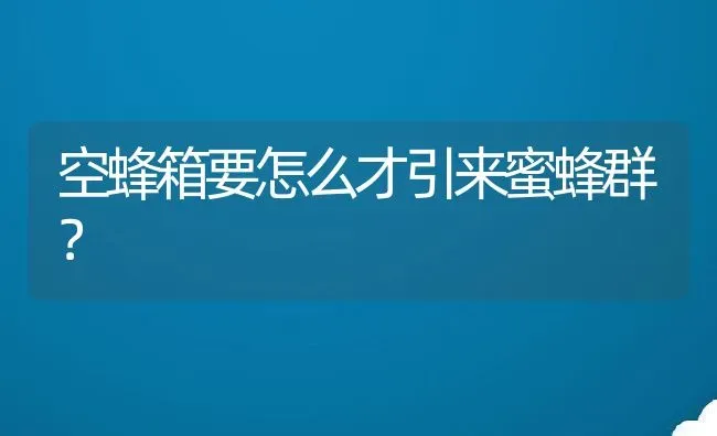 空蜂箱要怎么才引来蜜蜂群？ | 动物养殖百科