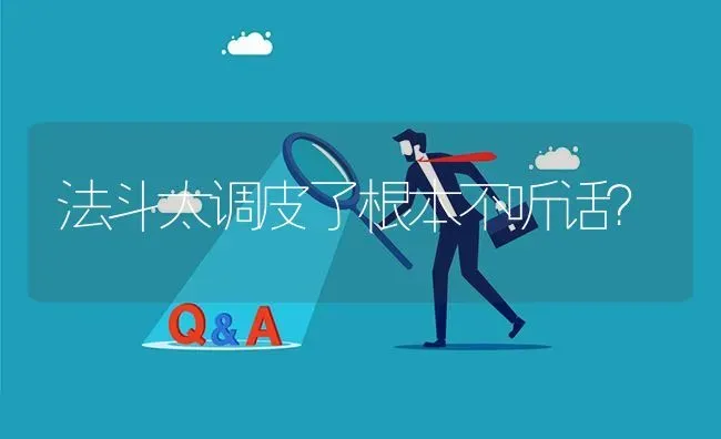 法斗太调皮了根本不听话？ | 动物养殖问答