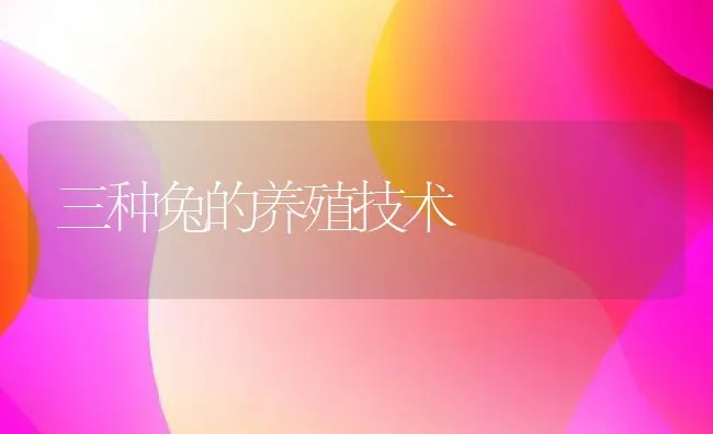 三种兔的养殖技术 | 动物养殖学堂