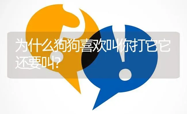 为什么狗狗喜欢叫你打它它还要叫？ | 动物养殖问答