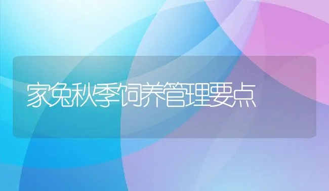 家兔秋季饲养管理要点 | 动物养殖学堂