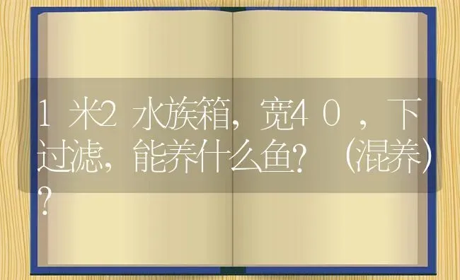 1米2水族箱，宽40，下过滤，能养什么鱼？（混养）？ | 鱼类宠物饲养