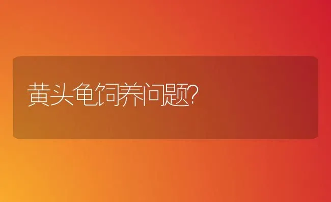 剃刀龟苗适应什么温度？ | 动物养殖问答