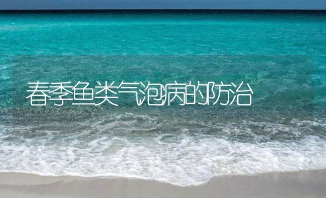 春季鱼类气泡病的防治 | 海水养殖技术