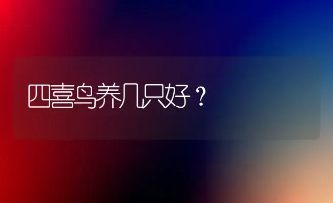 四喜鸟养几只好？ | 动物养殖问答