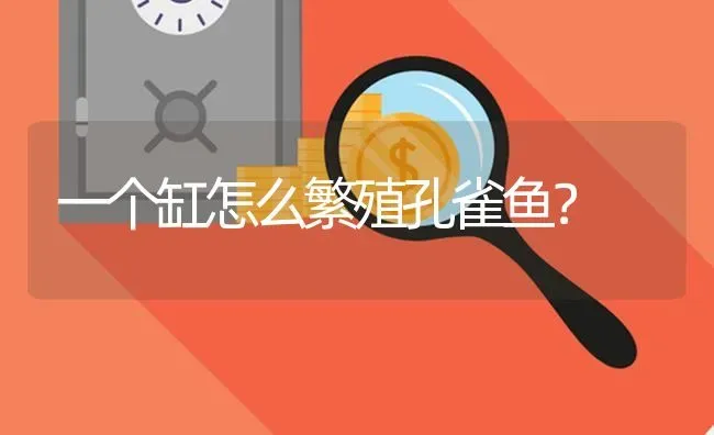 一个缸怎么繁殖孔雀鱼？ | 鱼类宠物饲养