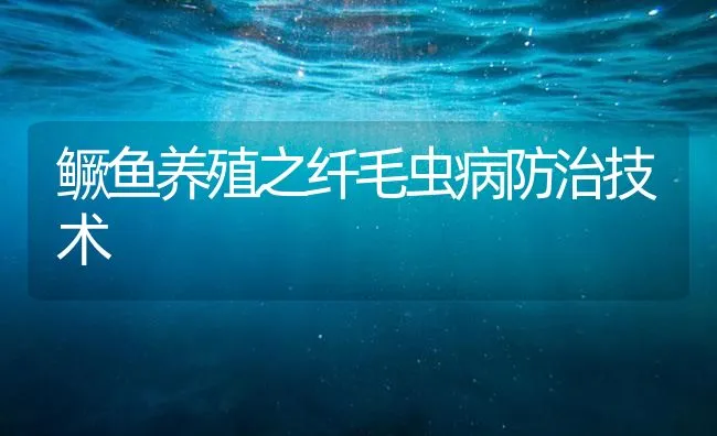 鳜鱼养殖之纤毛虫病防治技术 | 海水养殖技术