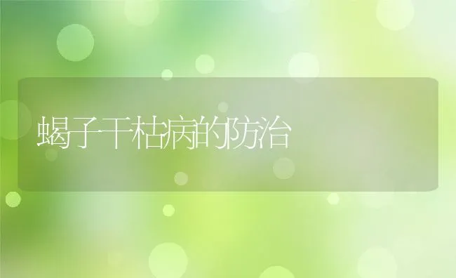 蝎子干枯病的防治 | 动物养殖学堂