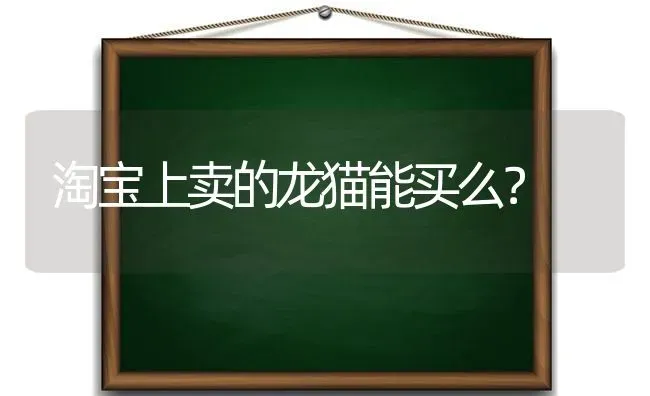 淘宝上卖的龙猫能买么？ | 动物养殖问答