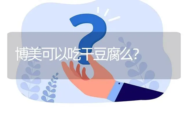 博美可以吃干豆腐么？ | 动物养殖问答