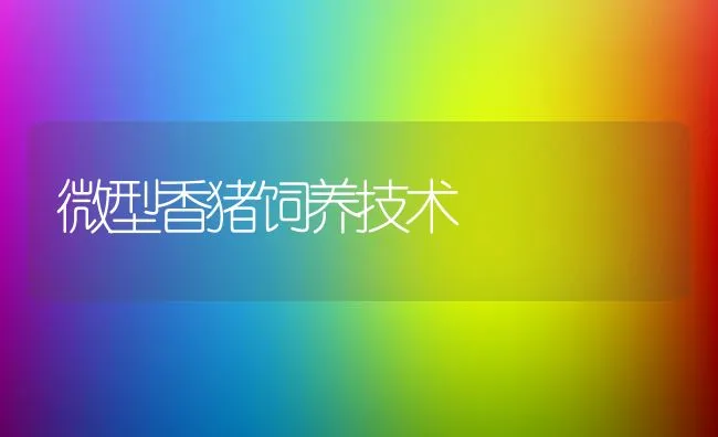 毛兔拔毛不当易发病 | 动物养殖学堂