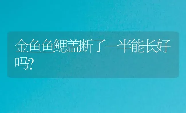 金鱼鱼鳃盖断了一半能长好吗？ | 鱼类宠物饲养