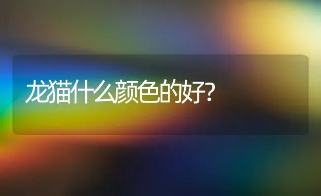 龙猫什么颜色的好？ | 动物养殖问答