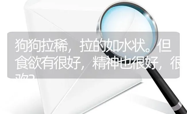 狗狗拉稀，拉的如水状。但食欲有很好，精神也很好，很欢？ | 动物养殖问答