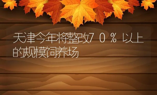 天津今年将整改70%以上的规模饲养场 | 动物养殖饲料