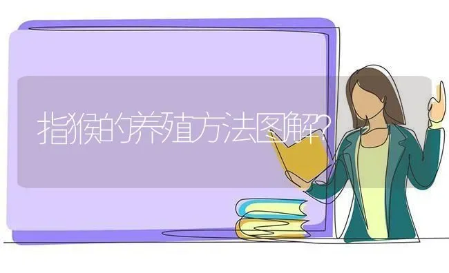 蜡嘴雀的形态特征是什么？ | 动物养殖问答