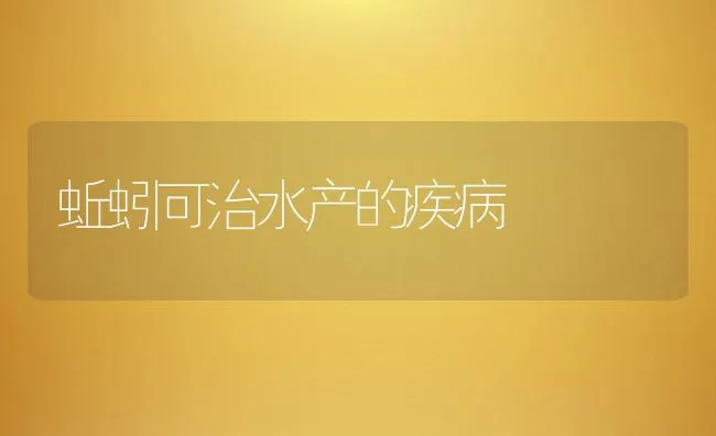 蚯蚓可治水产的疾病 | 水产养殖知识