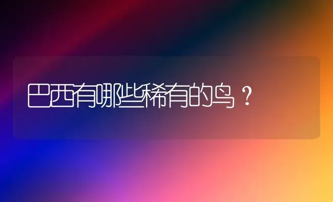 巴西有哪些稀有的鸟？ | 动物养殖问答