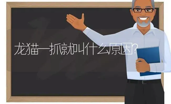 龙猫一抓就叫什么原因？ | 动物养殖问答