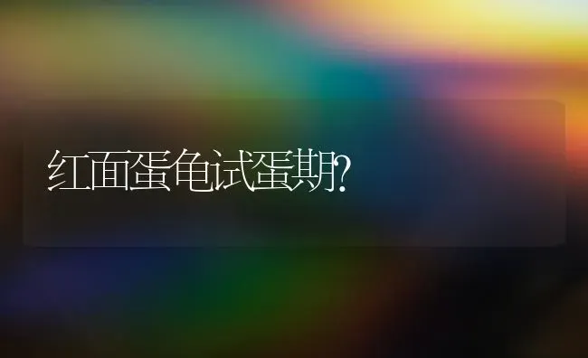 红面蛋龟试蛋期？ | 动物养殖问答