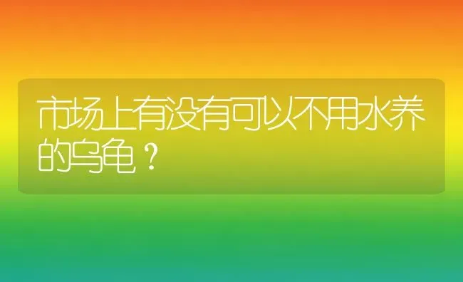 市场上有没有可以不用水养的乌龟？ | 动物养殖问答