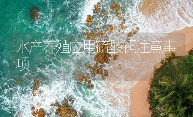 水产养殖应用硫酸铜注意事项 | 海水养殖技术