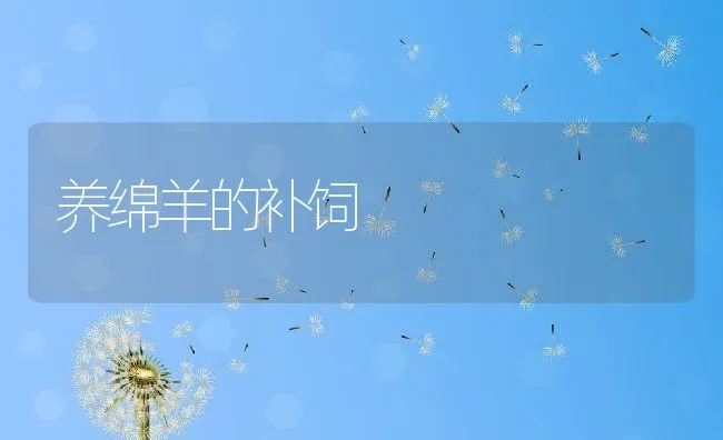 雏鸽衣原体病的防治 | 动物养殖学堂