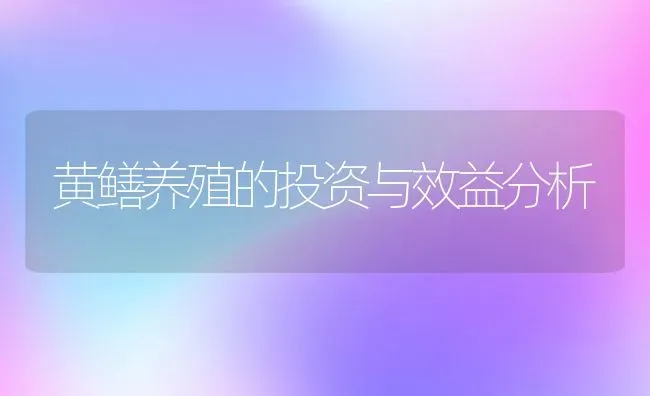 黄鳝养殖的投资与效益分析 | 动物养殖百科