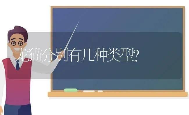 龙猫分别有几种类型？ | 动物养殖问答