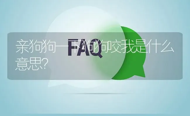 亲狗狗一下狗狗咬我是什么意思？ | 动物养殖问答