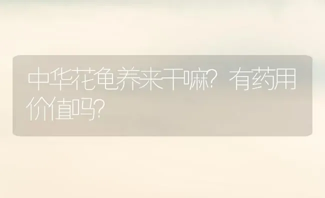 昨天刚买的古牧，回来之后发现很瘦很瘦？ | 动物养殖问答