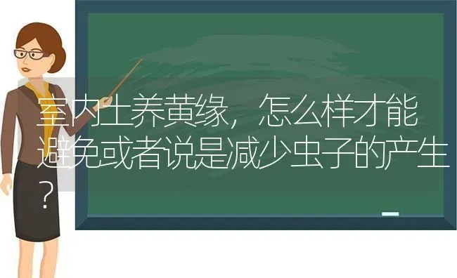 室内土养黄缘，怎么样才能避免或者说是减少虫子的产生？ | 动物养殖问答