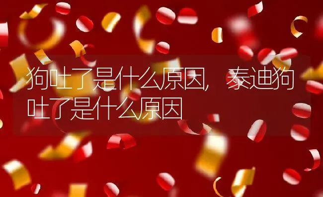 狗吐了是什么原因,泰迪狗吐了是什么原因 | 宠物百科知识