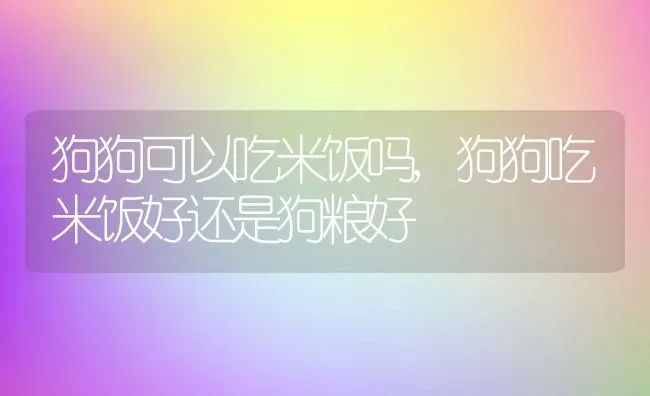 狗狗可以吃米饭吗,狗狗吃米饭好还是狗粮好 | 宠物百科知识