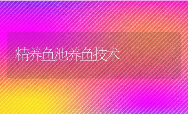 龙虾的人工育苗及其养殖技术 | 海水养殖技术