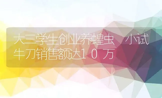 大三学生创业养蝗虫 小试牛刀销售额达10万 | 动物养殖教程