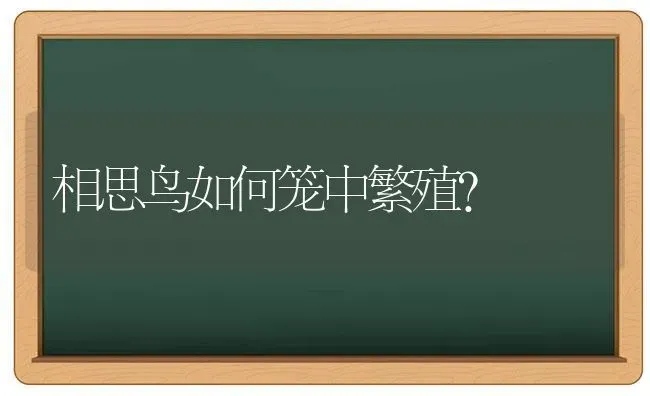 狗狗头歪流口水是什么症状？ | 动物养殖问答