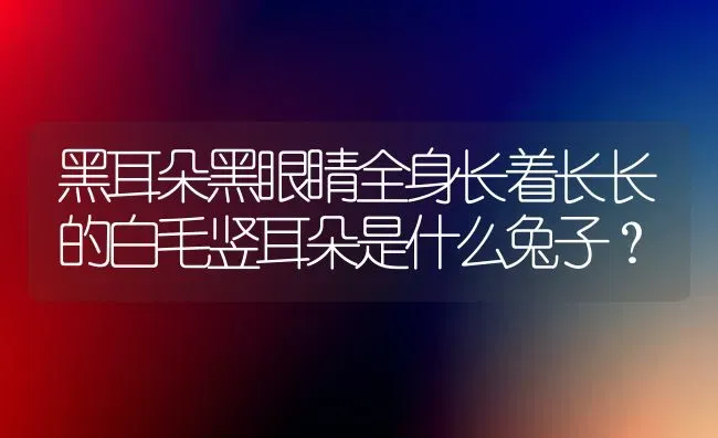 黑耳朵黑眼睛全身长着长长的白毛竖耳朵是什么兔子？ | 动物养殖问答