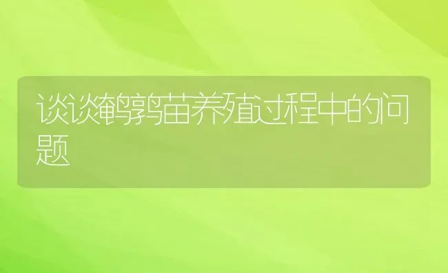 谈谈鹌鹑苗养殖过程中的问题 | 动物养殖教程