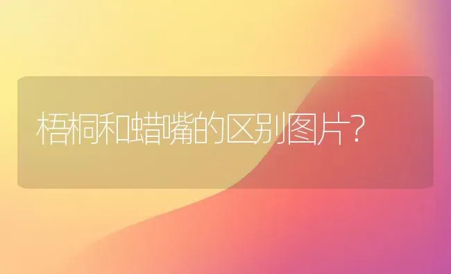 梧桐和蜡嘴的区别图片？ | 动物养殖问答