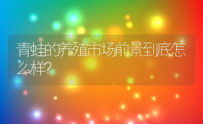 青蛙的养殖市场前景到底怎么样？ | 动物养殖百科