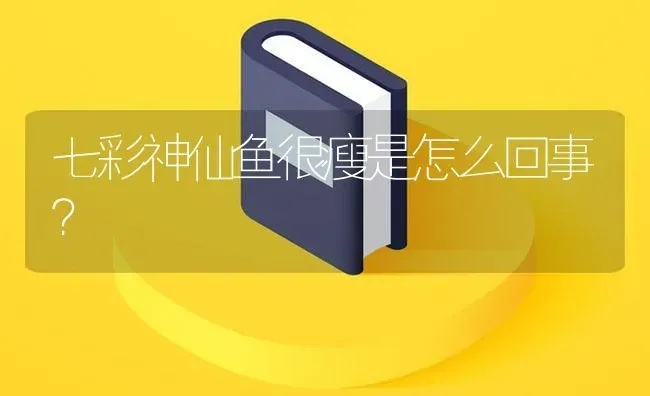 七彩神仙鱼很瘦是怎么回事？ | 鱼类宠物饲养