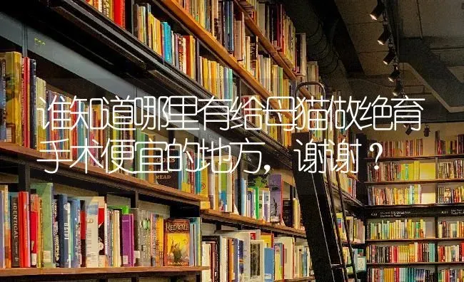 谁知道哪里有给母猫做绝育手术便宜的地方，谢谢？ | 动物养殖问答