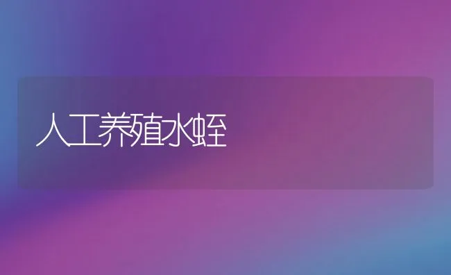 人工养殖水蛭 | 动物养殖饲料