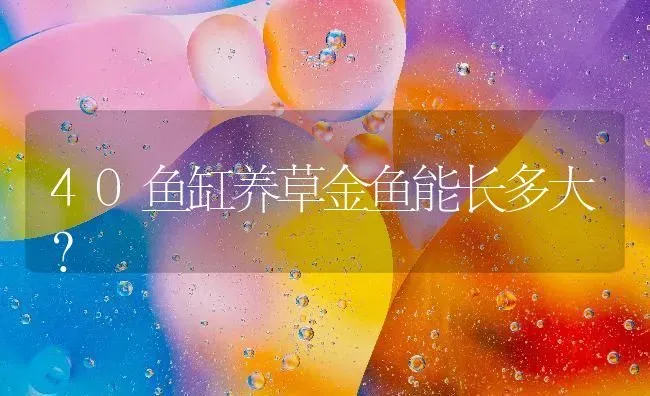 40鱼缸养草金鱼能长多大？ | 鱼类宠物饲养