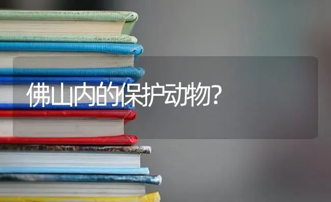 佛山内的保护动物？ | 动物养殖问答