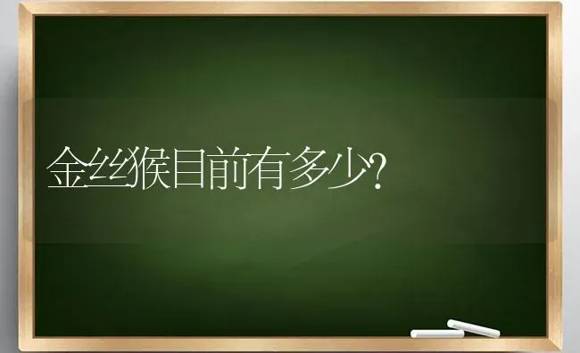 金丝猴目前有多少？ | 动物养殖问答