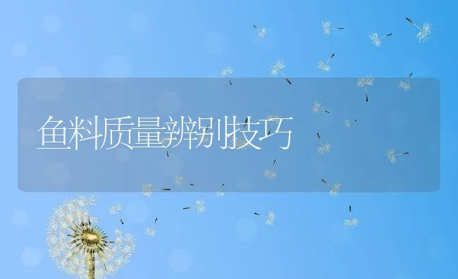 火鸭的养殖技术 | 动物养殖饲料