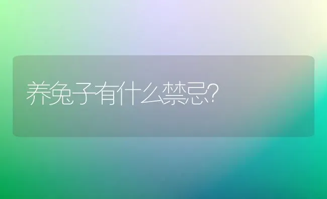 养兔子有什么禁忌？ | 动物养殖问答